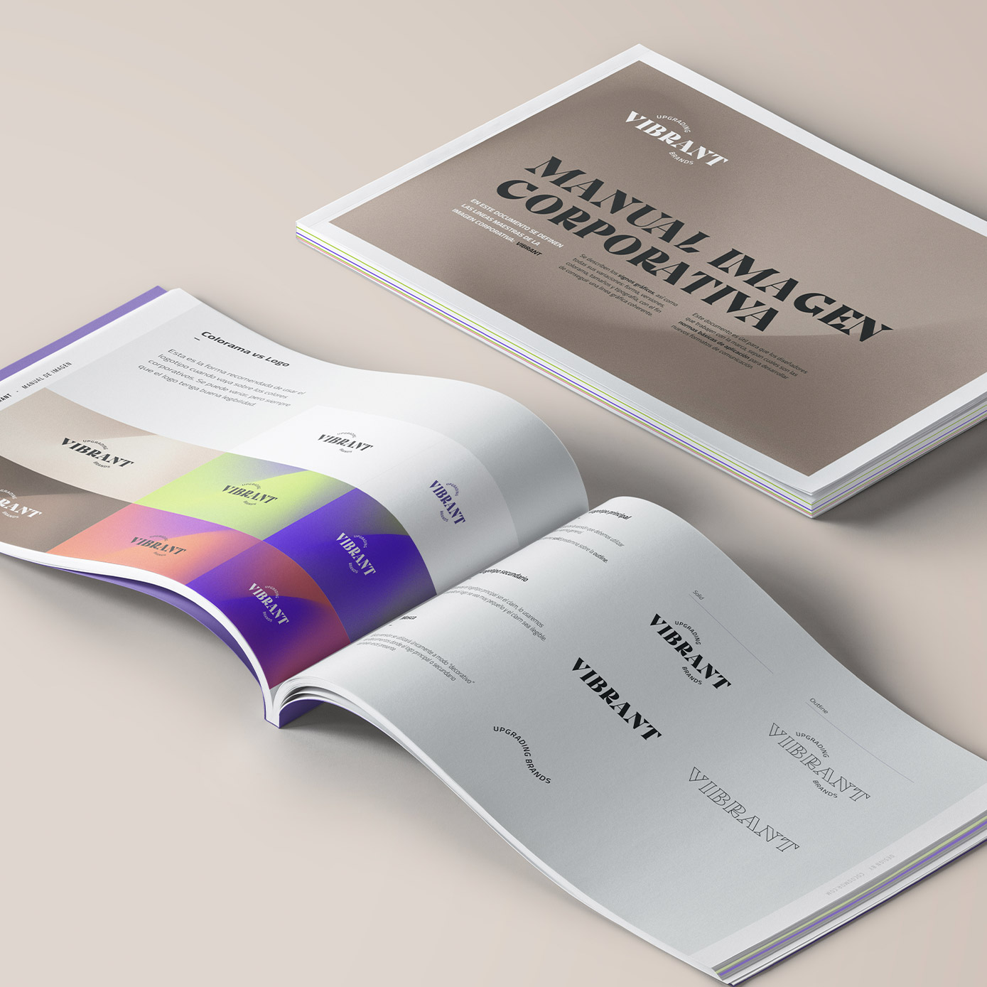 cocodmor-branding-vibrant