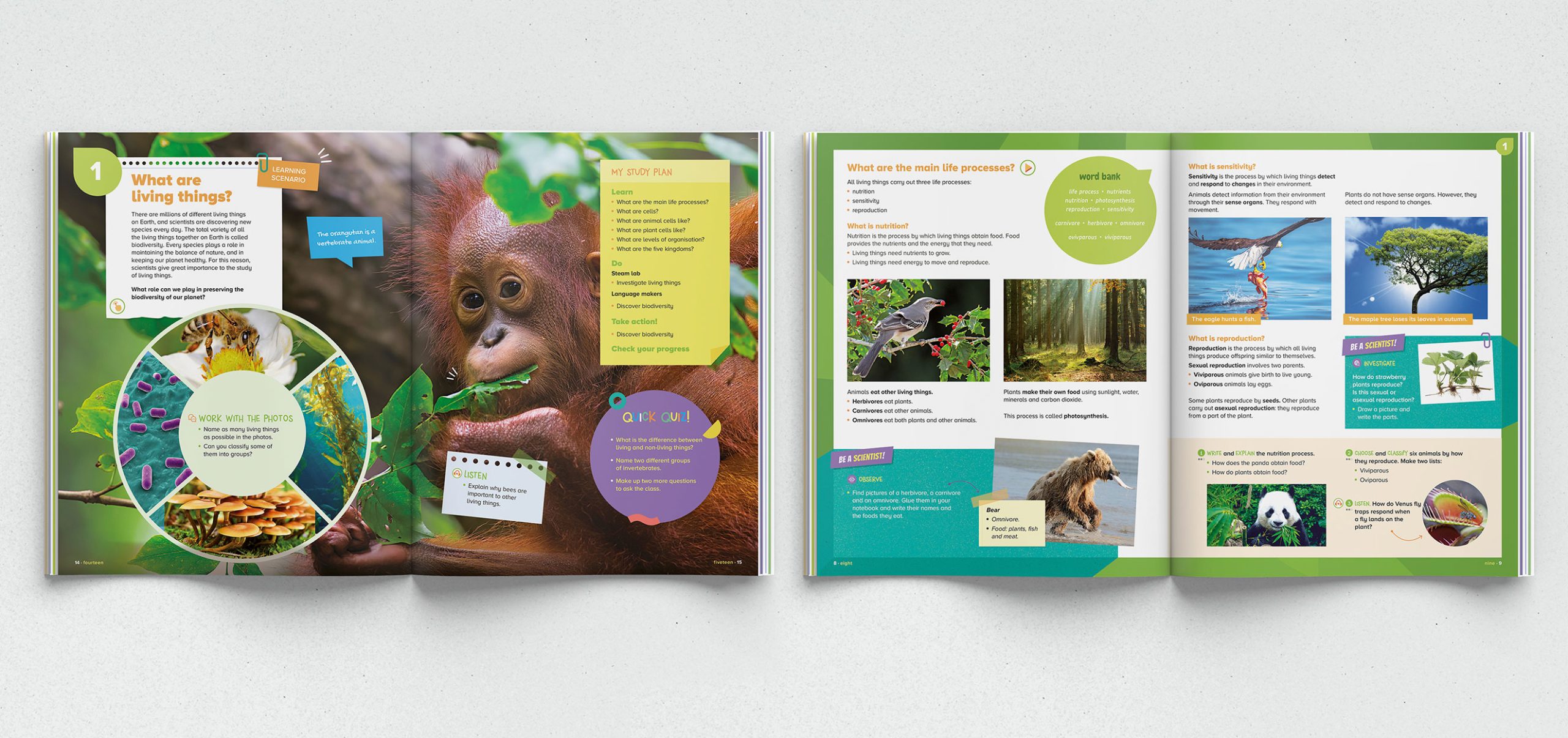 cocodmor_clilsantillana3c