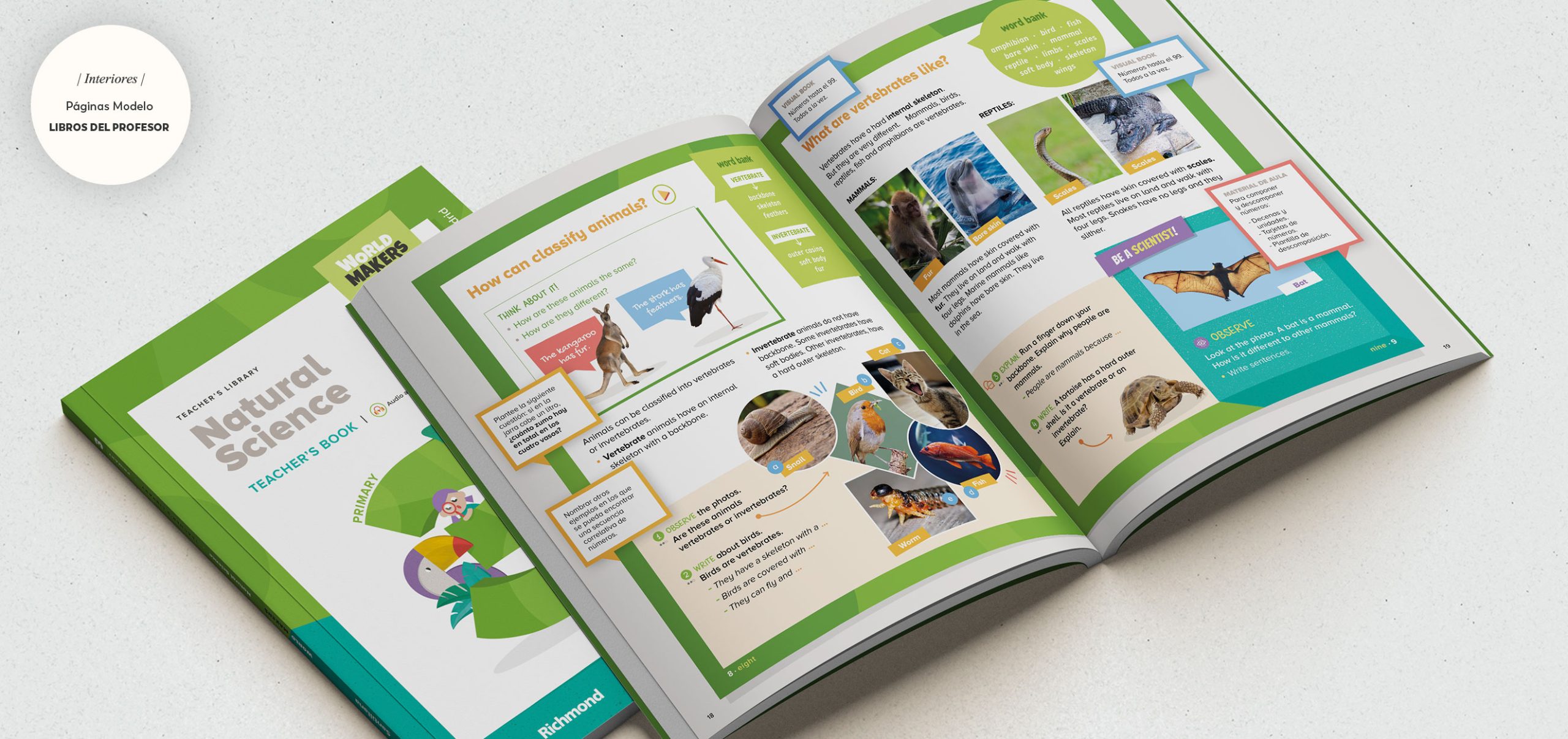 cocodmor_clilsantillana7