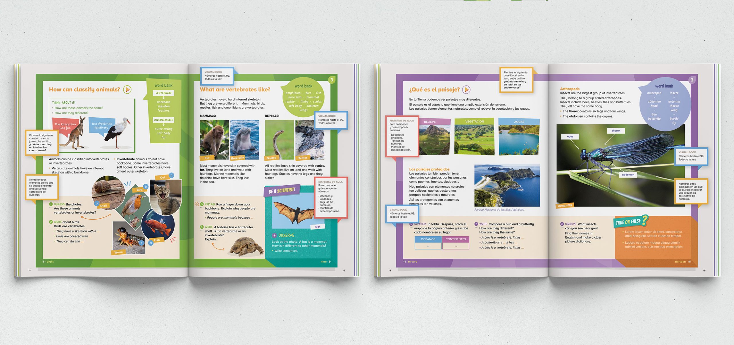 cocodmor_clilsantillana7b